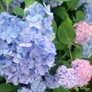 ヒメ日記 2025/06/16 19:21 投稿 結愛/ゆあ 贅沢なひと時