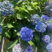 ヒメ日記 2025/06/28 19:40 投稿 結愛/ゆあ 贅沢なひと時