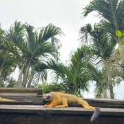 ヒメ日記 2025/07/11 01:02 投稿 結愛/ゆあ 贅沢なひと時