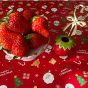 ヒメ日記 2026/01/02 19:21 投稿 ありあ 熟女の風俗最終章 宇都宮店