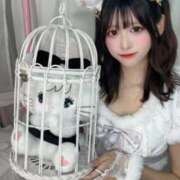 ヒメ日記 2025/08/05 02:19 投稿 なつめ E+アイドルスクール　大阪・日本橋店