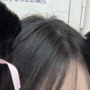 ヒメ日記 2025/10/29 20:24 投稿 もも 神田はっち