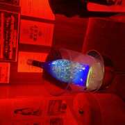 ヒメ日記 2025/12/02 20:00 投稿 もも 神田はっち