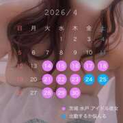 ヒメ日記 2026/04/15 07:03 投稿 夢咲あるの 水戸ソープ アイドル彼女