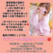 ヒメ日記 2025/08/30 08:36 投稿 せつな ハピネス東京 吉原店