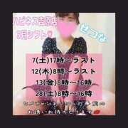 ヒメ日記 2026/03/07 16:36 投稿 せつな ハピネス東京 吉原店