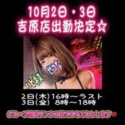 ヒメ日記 2026/09/30 20:37 投稿 せつな ハピネス東京 吉原店