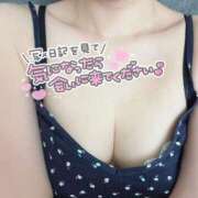 ヒメ日記 2025/05/29 09:36 投稿 あさみ One More 奥様　西船橋店