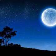 ヒメ日記 2025/06/21 01:18 投稿 まい奥様【VIP】 金沢の20代30代40代50代が集う人妻倶楽部