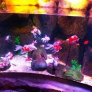 ヒメ日記 2025/08/20 17:10 投稿 りお 花嫁気分相馬・南相馬店