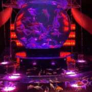 ヒメ日記 2025/08/21 18:20 投稿 りお 花嫁気分相馬・南相馬店