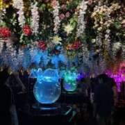 ヒメ日記 2025/09/12 16:50 投稿 りお 花嫁気分相馬・南相馬店