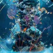 ヒメ日記 2025/09/16 17:00 投稿 りお 花嫁気分相馬・南相馬店