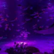 ヒメ日記 2025/11/25 11:40 投稿 りお 花嫁気分相馬・南相馬店