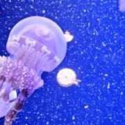 ヒメ日記 2025/11/29 05:20 投稿 りお 花嫁気分相馬・南相馬店