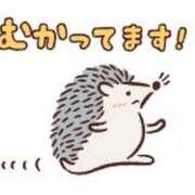 ヒメ日記 2026/01/29 10:14 投稿 桐山（きりやま） 丸妻 錦糸町店