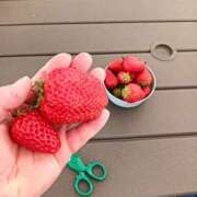 ヒメ日記 2026/02/21 13:03 投稿 桐山（きりやま） 丸妻 錦糸町店