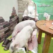 ヒメ日記 2025/12/07 19:49 投稿 のあ スリーパラダイス