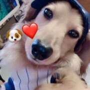 ヒメ日記 2025/10/31 14:19 投稿 さら スリーパラダイス