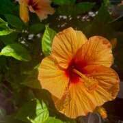 ヒメ日記 2025/10/18 12:45 投稿 しずく べっぴんコレクション