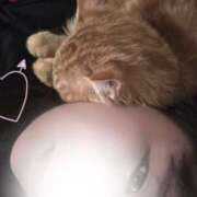 ヒメ日記 2025/12/12 11:06 投稿 なるみ 茨城龍ヶ崎取手ちゃんこ