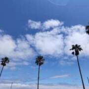 ヒメ日記 2025/06/21 12:19 投稿 ちさと 脱がされたい人妻 木更津店