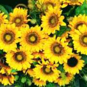 ヒメ日記 2025/07/01 09:15 投稿 ちさと 脱がされたい人妻 木更津店