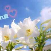 ちさと 出勤しました💓 脱がされたい人妻 木更津店