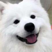 タオ【元読モ＆顔面偏差値S級！】 口コミ🐶💮 CLUB CHELSEA(クラブ チェルシー)福井