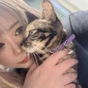 あげは 🦋 チューリップ熊本店