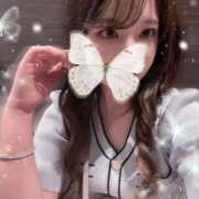 ヒメ日記 2025/06/20 07:01 投稿 ももか ビギナーズ和歌山