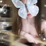 ヒメ日記 2025/06/26 05:01 投稿 ももか ビギナーズ和歌山