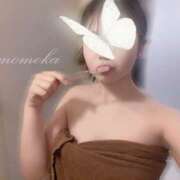 ヒメ日記 2025/07/08 15:26 投稿 ももか ビギナーズ和歌山