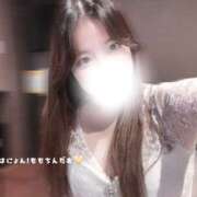 ヒメ日記 2025/08/19 15:11 投稿 ももか ビギナーズ和歌山