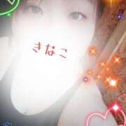 ヒメ日記 2025/09/16 09:15 投稿 きなこ 丸妻 横浜本店