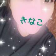 きなこ お久しぶりです！ 丸妻 横浜本店