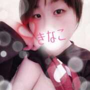 ヒメ日記 2026/01/05 19:30 投稿 きなこ 丸妻 横浜本店