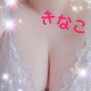 ヒメ日記 2026/05/20 18:19 投稿 きなこ 丸妻 横浜本店