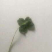 ヒメ日記 2025/07/21 14:08 投稿 後藤 ちなつ 絢(あや)