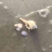 ヒメ日記 2025/08/13 20:47 投稿 後藤 ちなつ 絢(あや)