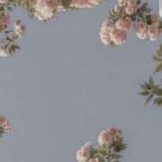 ヒメ日記 2025/08/30 20:31 投稿 後藤 ちなつ 絢(あや)