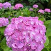 ヒメ日記 2025/05/30 16:05 投稿 さつき 完熟ばなな新宿