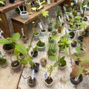 ヒメ日記 2025/06/10 16:55 投稿 さつき 完熟ばなな新宿