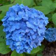 ヒメ日記 2025/06/11 16:05 投稿 さつき 完熟ばなな新宿