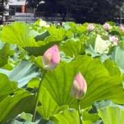 ヒメ日記 2025/08/05 15:45 投稿 さつき 完熟ばなな新宿