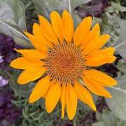 ヒメ日記 2025/08/14 15:25 投稿 さつき 完熟ばなな新宿