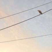 ヒメ日記 2025/08/21 17:55 投稿 さつき 完熟ばなな新宿