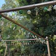 ヒメ日記 2025/08/24 20:35 投稿 さつき 完熟ばなな新宿