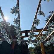 ヒメ日記 2025/08/31 17:35 投稿 さつき 完熟ばなな新宿