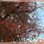 ヒメ日記 2025/11/16 17:35 投稿 さつき 完熟ばなな新宿